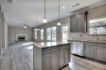 New construction Single-Family house 77 Elivia Way, Dallas, GA 30132 Jackson- photo 12 12