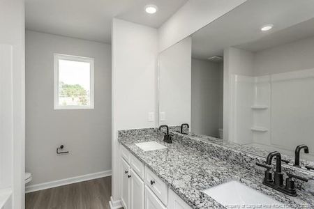 New construction Single-Family house 198 Laforce Ln, Broadway, NC 27505 - image