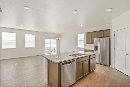 New construction Single-Family house 4837 Cattle Cross Ln, Castle Rock, CO 80104 null- photo 14 14