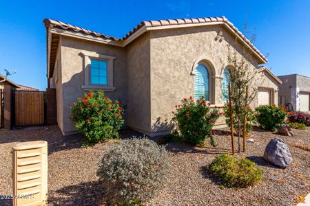 New construction Single-Family house 26199 S 227Th St, Queen Creek, AZ 85142 null- photo 55 55