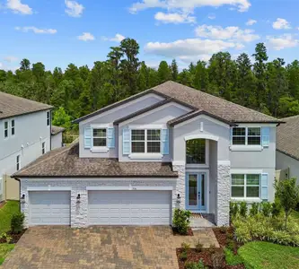 New construction Single-Family house 7754 Hemlock Seed Dr, Wesley Chapel, FL 33545 plan Sonoma II - image