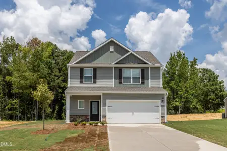 New construction Single-Family house 440 Chedworth Dr, Angier, NC 27501 - image