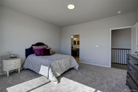 New construction Single-Family house 13051 Monument Vis, Peyton, CO 80831 - image 16