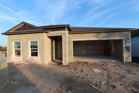 New construction Single-Family house 3164 Adams Cross Dr, Zephyrhills, FL 33540 Marque- photo 46 46