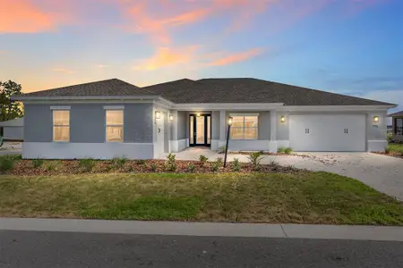 New construction Single-Family house 10976 Sw 101St Lp, Ocala, FL 34481 null- photo 0