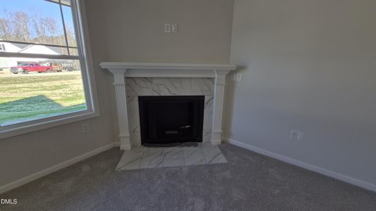 New construction Single-Family house 313 Bonsai Wy, Four Oaks, NC 27524 - image 19