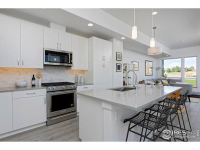 New construction Duplex house 440 Levi Lane, Unit A, Lafayette, CO 80026 Butterfly- photo 10 10