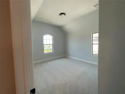 New construction Single-Family house 3218 Ribisl Ln, Royse City, TX 75189 null- photo 16 16