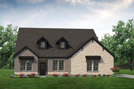 New construction Single-Family house 425 Texas Sage Trl, Weatherford, TX 76082 - image