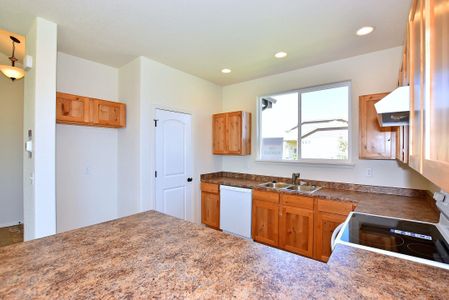 New construction Single-Family house 437 Vivid Ln, Windsor, CO 80550 null- photo 21 21