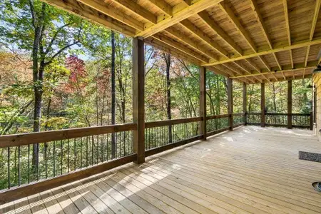 New construction Single-Family house 217 Goldmine Rd, Morganton, GA 30560 - image