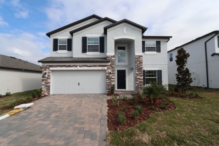 New construction Single-Family house 12176 Hilltop Farms Dr, Dade City, FL 33525 Malibu- photo 147 147