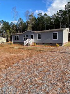 New construction Manufactured Home house 4547 Mercer Mill Brown Marsh Rd Rd, Clarkton, NC 28433 - image