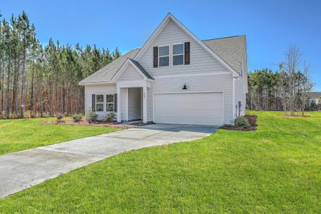 New construction Single-Family house 505 New Regenia Pl, Holly Hill, SC 29059 - image