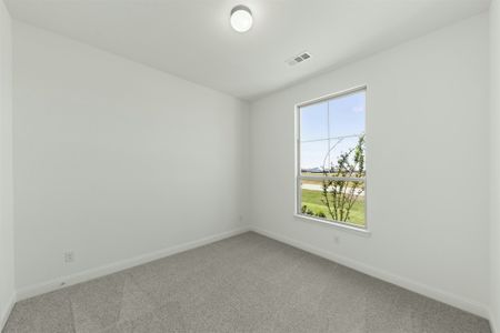 New construction Single-Family house 313 Hollingsworth Ln, Glenn Heights, TX 75154 plan Brady - image 17