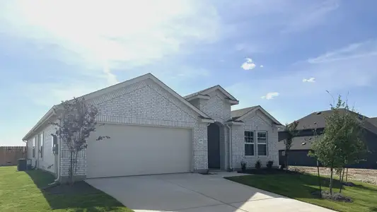 New construction Single-Family house 709 Red Wolf Dr, Jarrell, TX 76537 plan Paramount - image