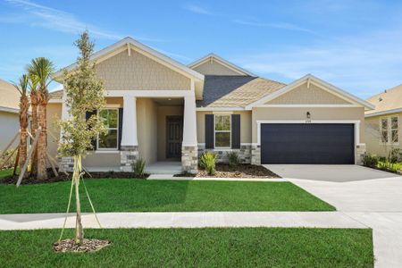 New construction Single-Family house 17374 Crisp Apple Ln, Land O' Lakes, FL 34638 plan Arlington - image