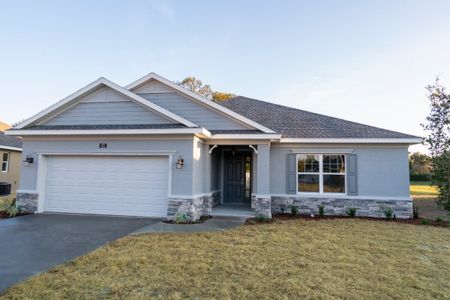 New construction Single-Family house SE 67th Ave & SE 103rd , Belleview, FL 34420 null- photo 0