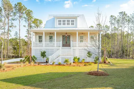 New construction Single-Family house 3866 Delinger Dr, Mount Pleasant, SC 29466 null- photo 0