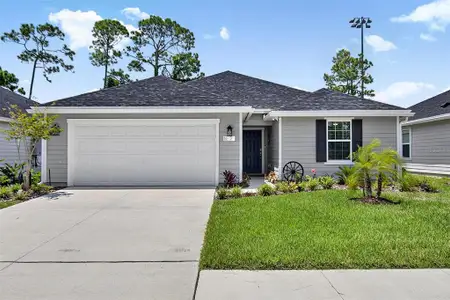 New construction Single-Family house 7 Signet Ct, Flagler Beach, FL 32136 - image