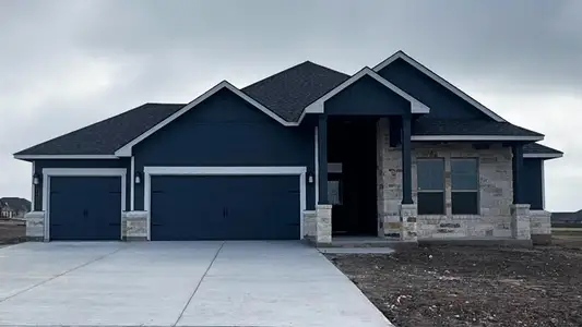 New construction Single-Family house 14519 Egon St, Salado, TX 76571 - image