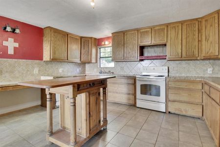 New construction Single-Family house 319 Green Acres Rd, Weatherford, TX 76088 - image