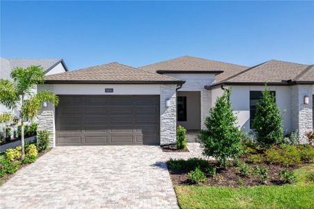 New construction Single-Family house Apollo Beach, FL 33572 - image
