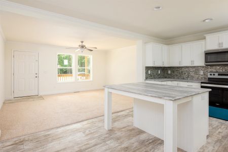 New construction Single-Family house 3014 Splitwood Ct, Oxford, NC 27565 null- photo 14 14