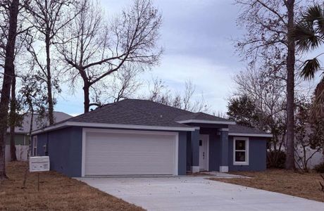 New construction Single-Family house 28 Woodston Ln, Palm Coast, FL 32164 - image
