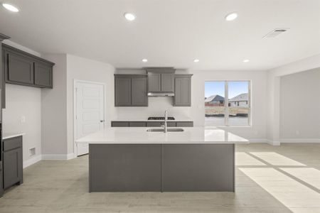 New construction Single-Family house 1101 Worthington Dr, Justin, TX 76247 plan Stirling - image 8