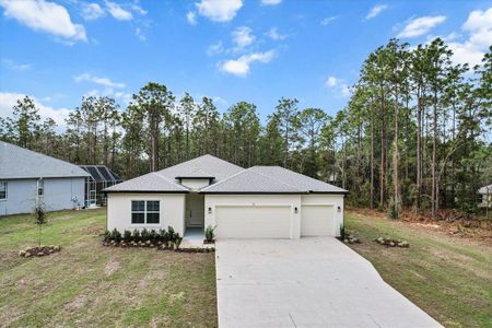 New construction Single-Family house 9 Fringetree St, Homosassa, FL 34446 - image