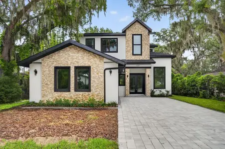 New construction Single-Family house 240 N Phelps Ave, Winter Park, FL 32789 - image