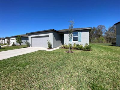 New construction Single-Family house 3111 Forrest Plum Ct, Zephyrhills, FL 33540 null- photo 1 1