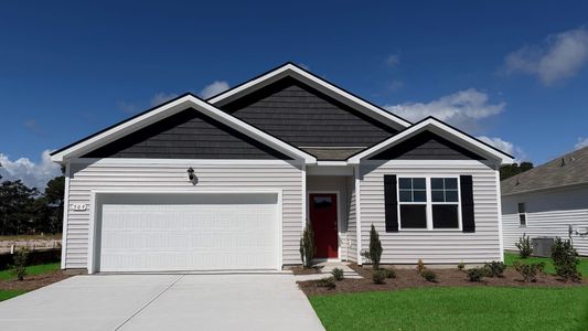 New construction Single-Family house 509 Blissful Dr, Little River, SC 29566 plan CALI - image