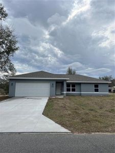 New construction Single-Family house 11891 Se 70Th Avenue Rd, Belleview, FL 34420 - image