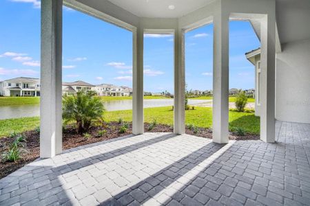 New construction Single-Family house 33797 Ocean Spray Ln, Wesley Chapel, FL 33543 Lincoln- photo 22 22