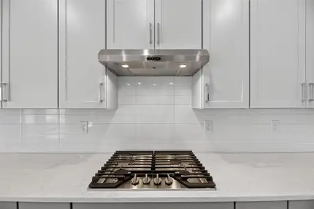 New construction Single-Family house 6218 Hidden Branch Dr, Apollo Beach, FL 33572 plan The Brighton - image 20