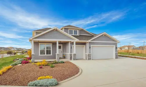 New construction Single-Family house 610 White Dove Ct, Monument, CO 80132 plan Denali - image