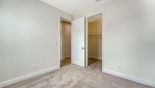 New construction Single-Family house 14560 Skipping Stone Lp, Parrish, FL 34219 plan Dream 2 - image 13