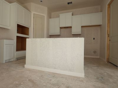 New construction Single-Family house 13207 Keefer Dr, Manchaca, TX 78652 plan Brahman - Capital Series - image