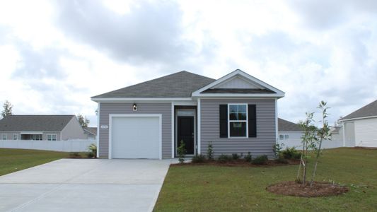 New construction Single-Family house 291 Long Beard Wy, Longs, SC 29568 plan CAMERON - image