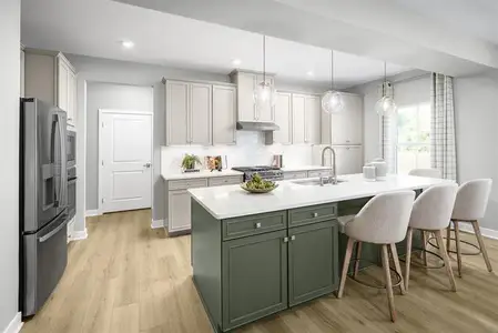 New construction Single-Family house 5019 Pineapple Lily Dr, Charlotte, NC 28216 - image 5