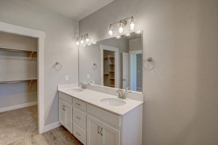 New construction Townhouse house 6248 Vernazza Wy, Windsor, CO 80550 plan Belmar - image 17
