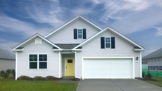 New construction Single-Family house 967 Stanbury Bluff Rd Sw, Supply, NC 28462 plan Dover - image