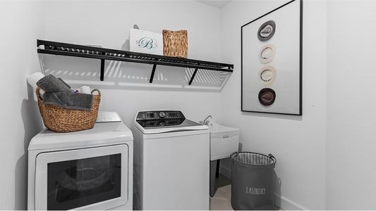 Willowgreen at Babcock Ranch: Side Load Coach Homes 11