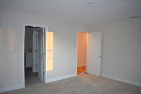 New construction Single-Family house 1939 W Arch St, Tampa, FL 33607 null- photo 34 34