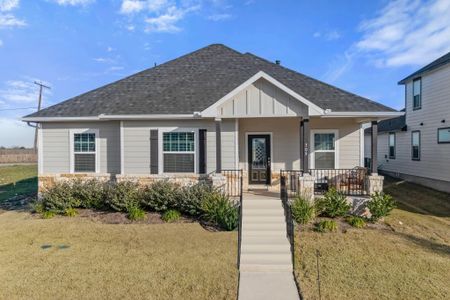 New construction Single-Family house 305 Ravens Crest Dr, Hutto, TX 78634 Bowie- photo 30 30