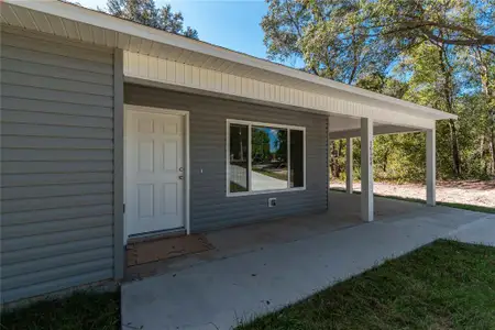 New construction Single-Family house 16615 Se 63Rd Ln, Ocklawaha, FL 32179 - image