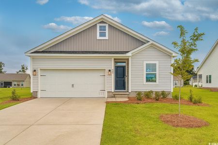 New construction Single-Family house 545 Honeyhill Lp, Unit 75, Conway, SC 29526 - image
