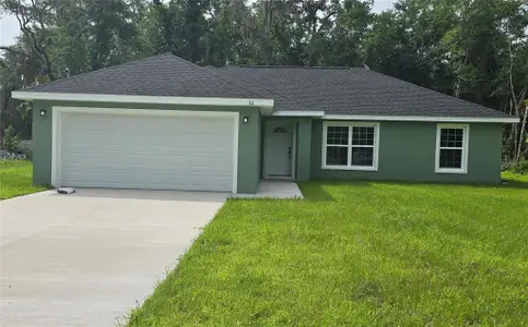 New construction Single-Family house 30 Sequoia Drive Trce, Ocklawaha, FL 32179 - image